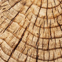 Indoor/Outdoor Faux Concrete Stump Accent Table Brown - Threshold™ Designed With Studio McGee 11 Indoor/Outdoor Faux Concrete Stump Accent Table Brown - Threshold™ Designed With Studio McGee -Furniture Specialty Store GUEST 03deabfd 2b62 4725 94b4 09a321ea8678