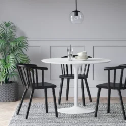 Set Of 2 Balboa Barrel Back Dining Chair - Thresholdâ˘