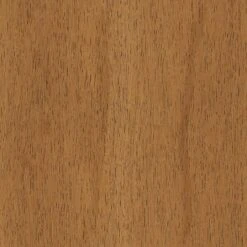 2pk Timo Dining Chair Cream - Threshold™ -Furniture Specialty Store GUEST 5d779e0e 0b3d 4661 9e88 19bec517fd72